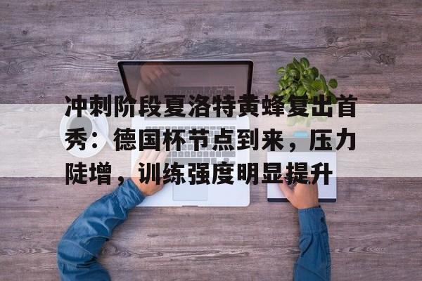 乐鱼官方-包含冲刺阶段夏洛特黄蜂复出首秀：德国杯节点到来，压力陡增，训练强度明显提升的词条